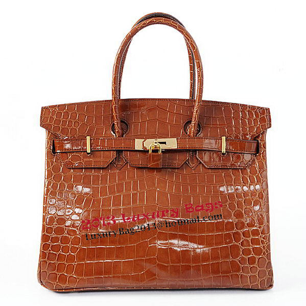 Hermes Birkin 35CM Tote Bag Brown Iridescent Croco Leather Gold