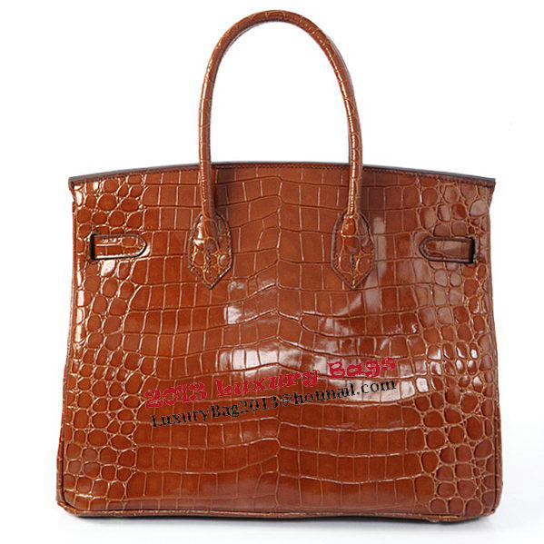 Hermes Birkin 35CM Tote Bag Brown Iridescent Croco Leather Gold