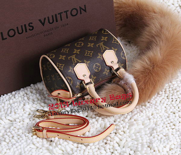 Louis Vuitton Monogram Canvas Speedy mini Tote Bags M41398