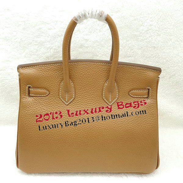 Hermes Birkin 25CM Tote Bag Original Leather H25T Wheat