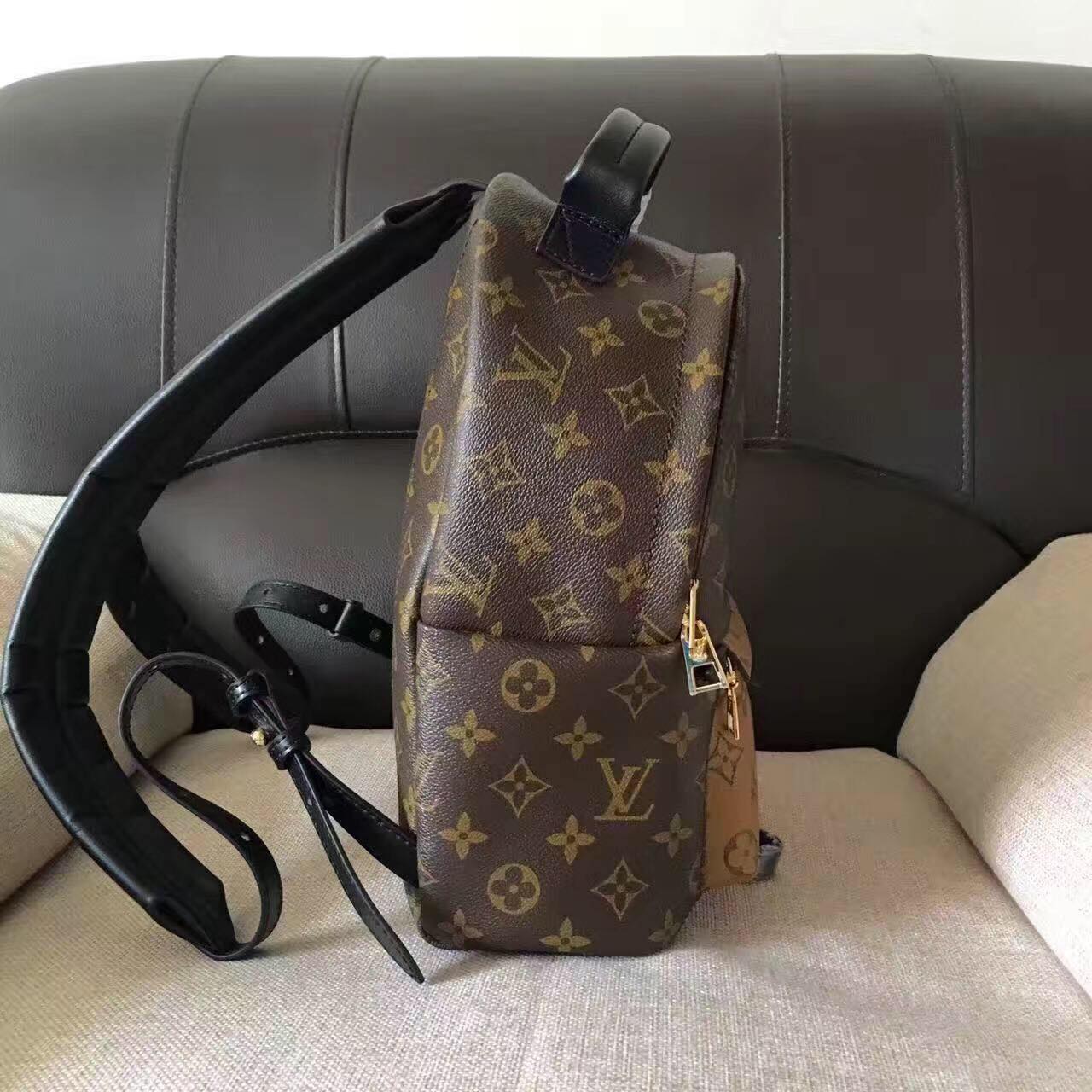 Louis Vuitton Monogram Canvas Palm Springs Backpack Mini M41562