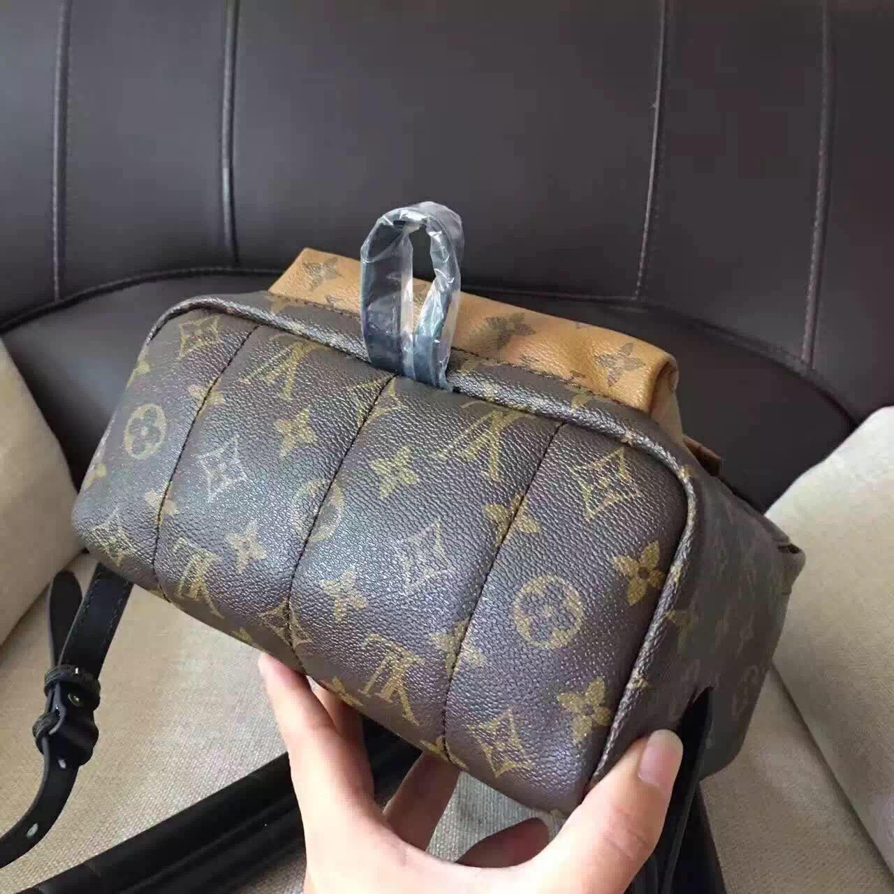 Louis Vuitton Monogram Canvas Palm Springs Backpack Mini M41562