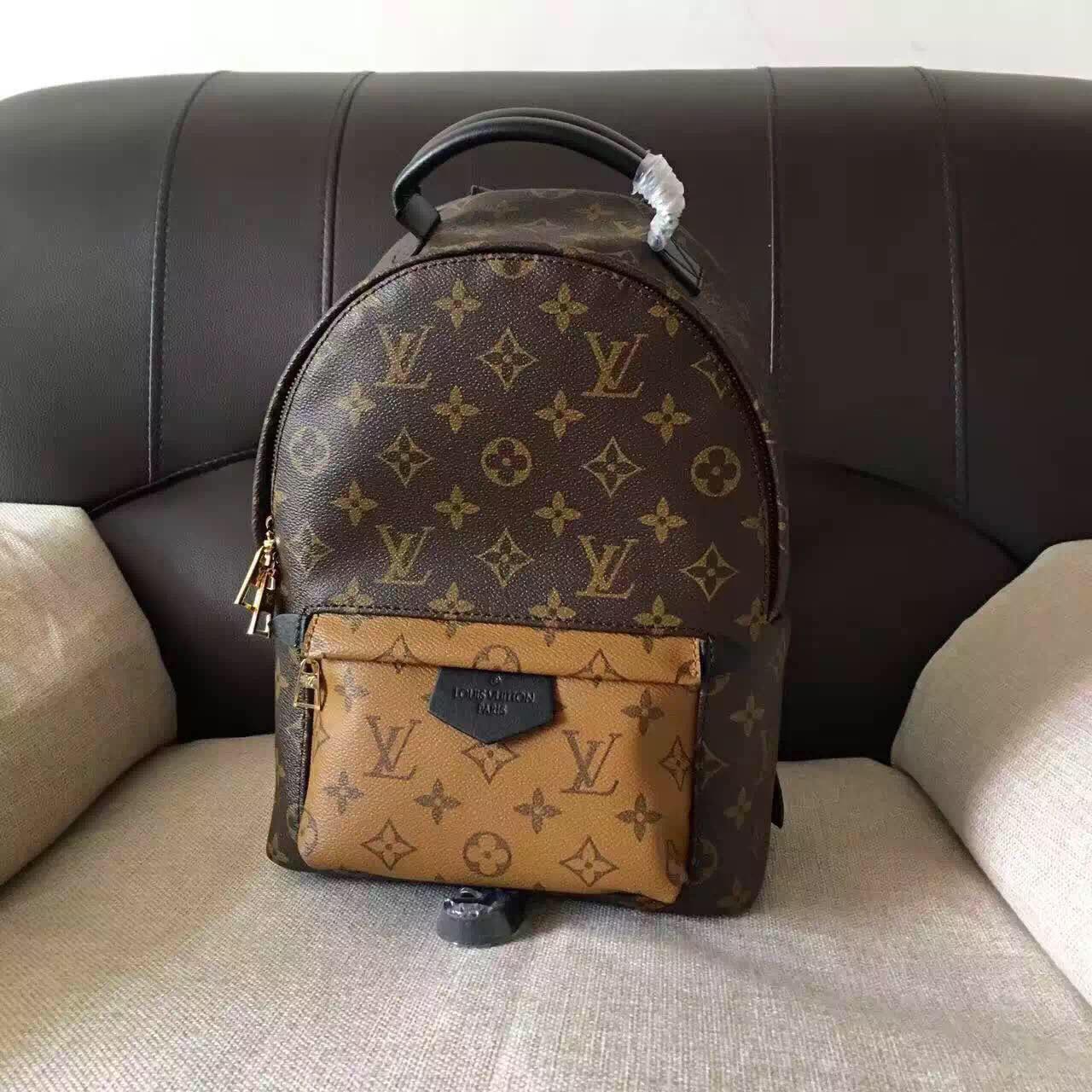 Louis Vuitton Monogram Canvas Palm Springs Backpack Mini M41562