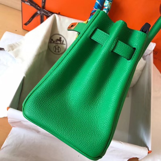 Hermes Birkin Tote Bag Original Togo Leather BK35 green