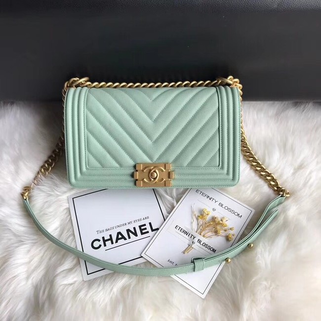 Chanel Leboy Original Caviar leather Shoulder Bag A67086 Light green gold chain