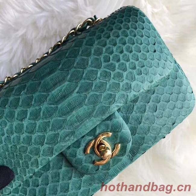 Chanel Mini Flap Bag Python & Gold-Tone Metal A69900 green