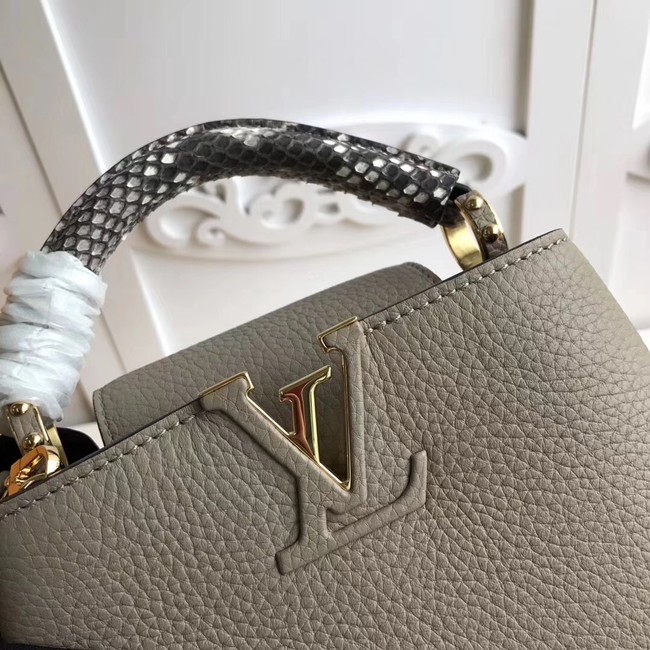 Louis vuitton original CAPUCINES MINI N94047 grey