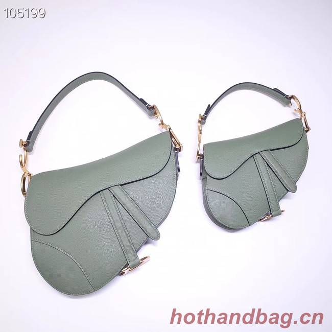 Dior SADDLE-TAS VAN KALFSLEER M0446CW green