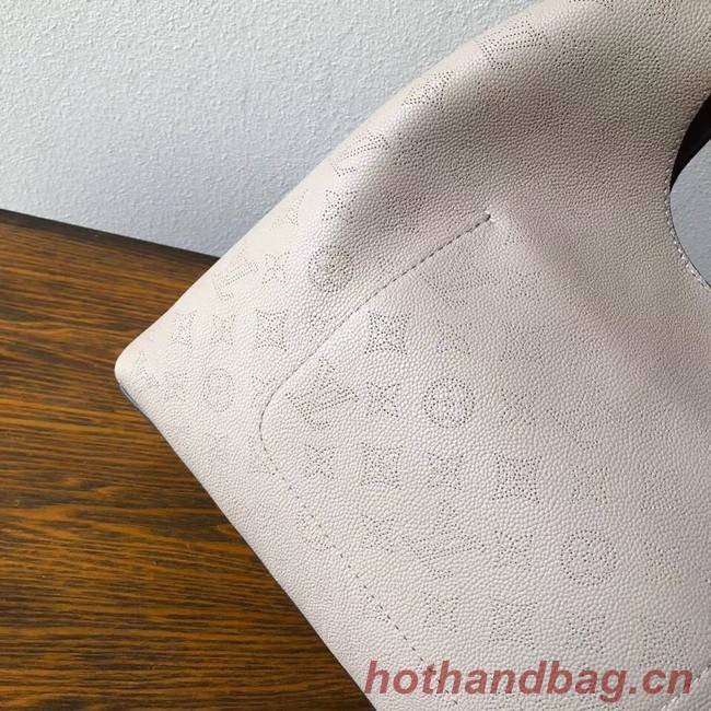 Louis Vuitton original CARMEL M53188 light grey