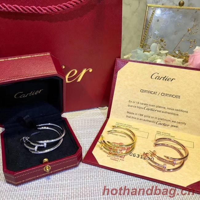 Cartier Earrings CE2313