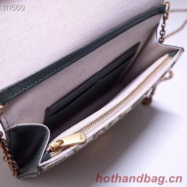 Dior DIORAMA leather Chain bag S2012 green