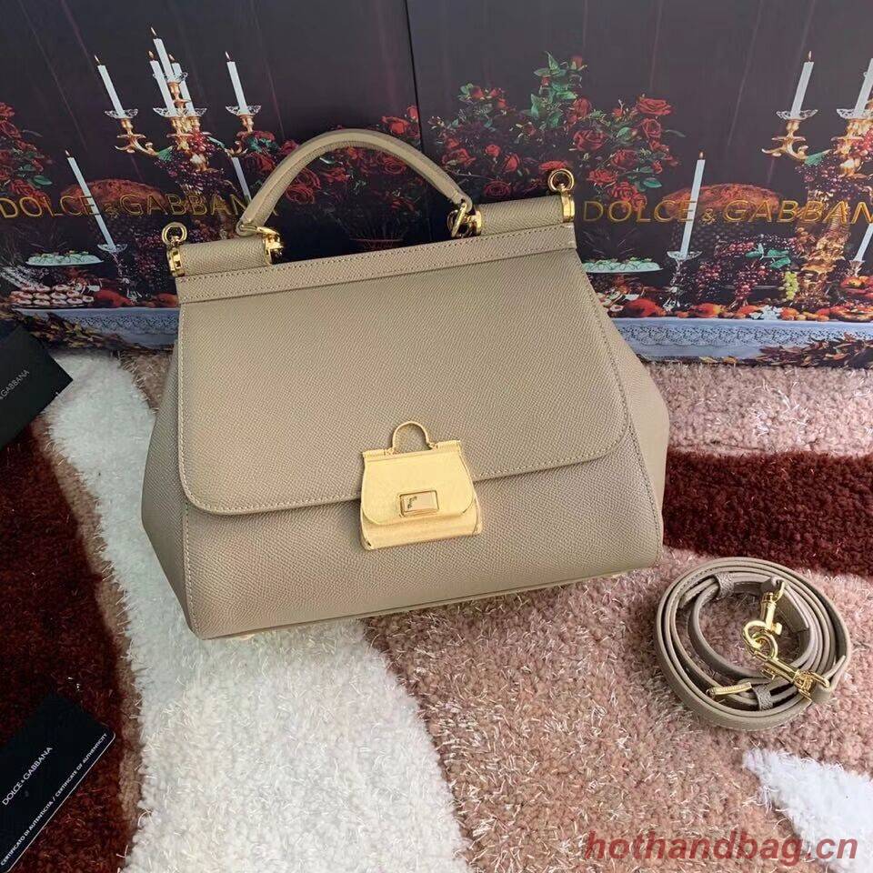 Dolce & Gabbana Origianl Leather Bag 4131 apricot