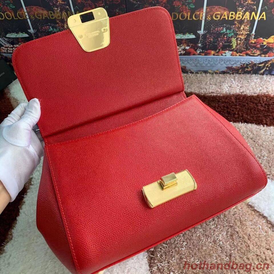 Dolce & Gabbana Origianl Leather Bag 4131 red