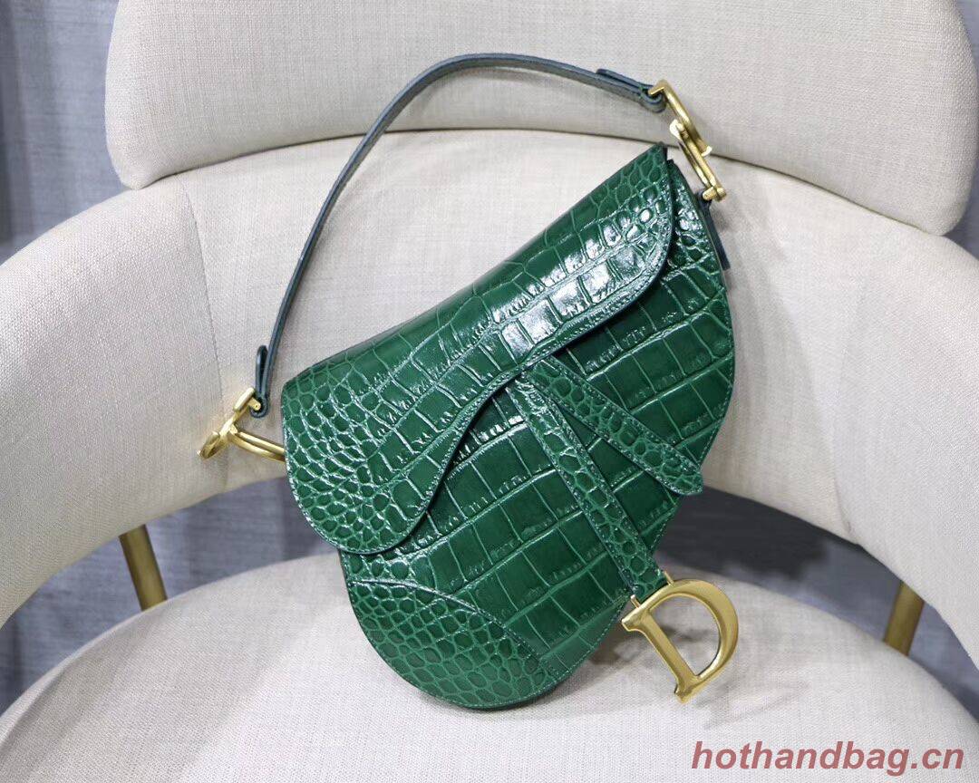 Dior SADDLE SOFT CALFSKIN BAG C9045 green