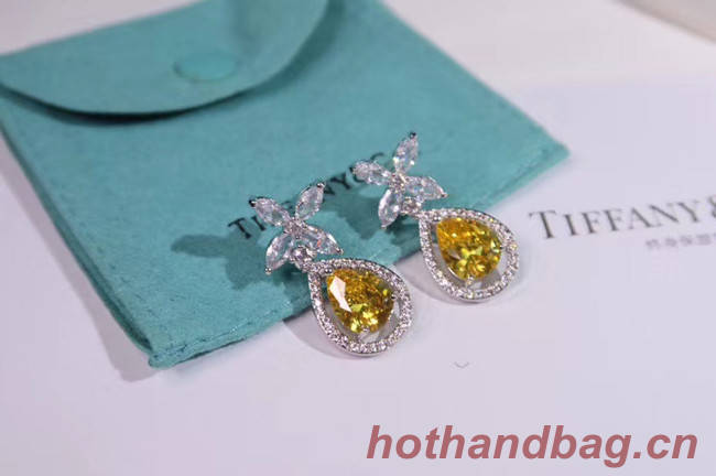 TIFFANY Earrings CE4911