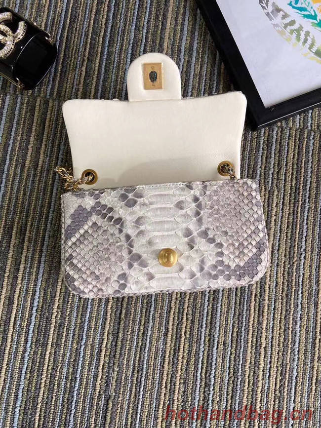 Chanel Original Small Snake skin flap bag AS1116 light grey