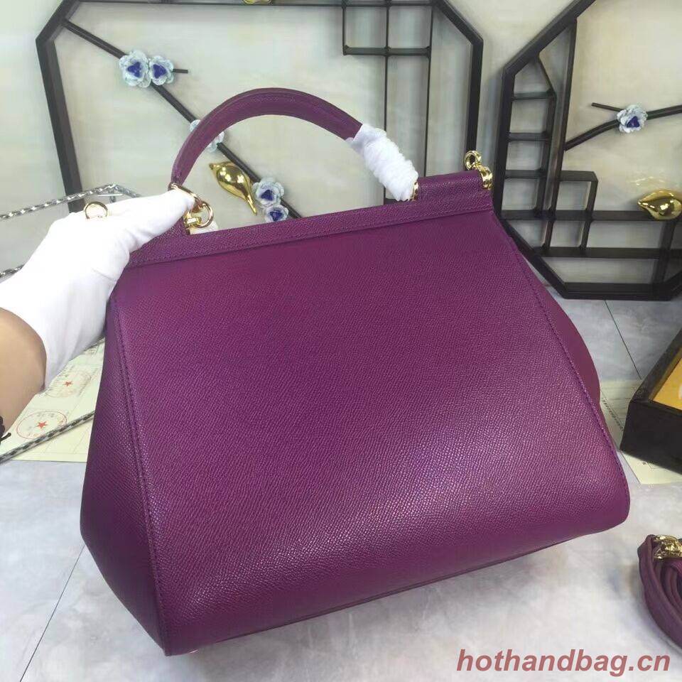 Dolce & Gabbana Origianl Leather 4138 Large violet