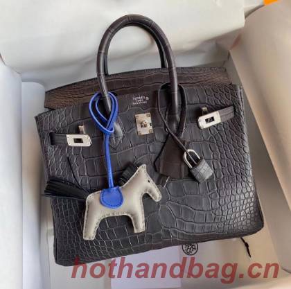 Hermes Birkin 25CM Tote Bag Original Croco Leather H25TCO Grey