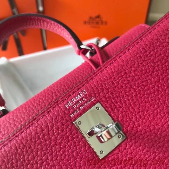 Hermes Birkin Togo Leather 22590 rose