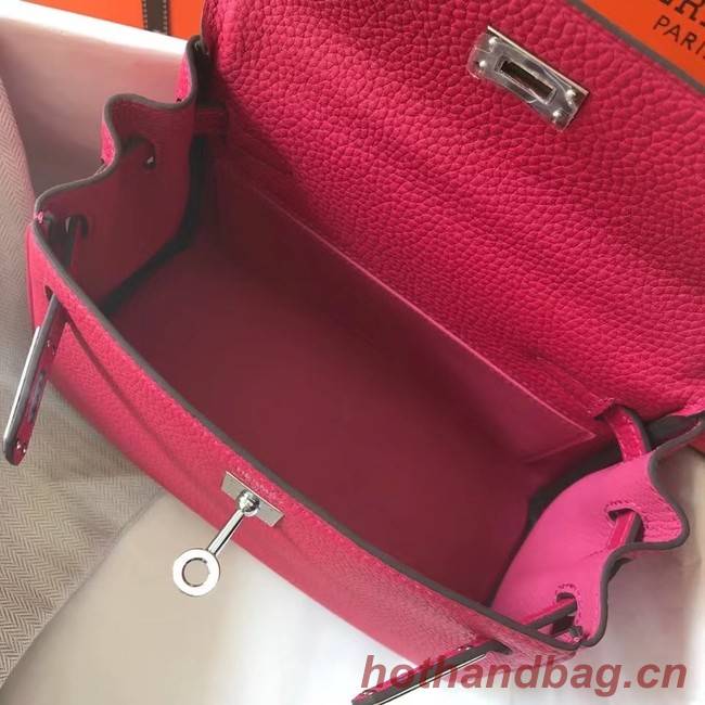 Hermes Birkin Togo Leather 22590 rose