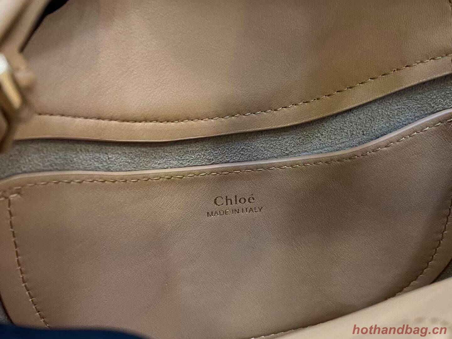 Chloe Original Calfskin Leather Bag 3S1350 Apricot