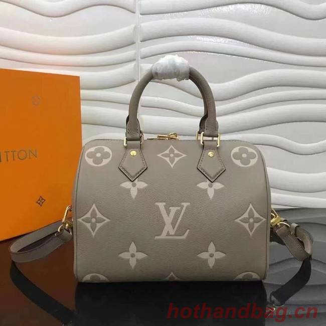 Louis Vuitton SPEEDY BANDOULIERE 25 M58947 grey