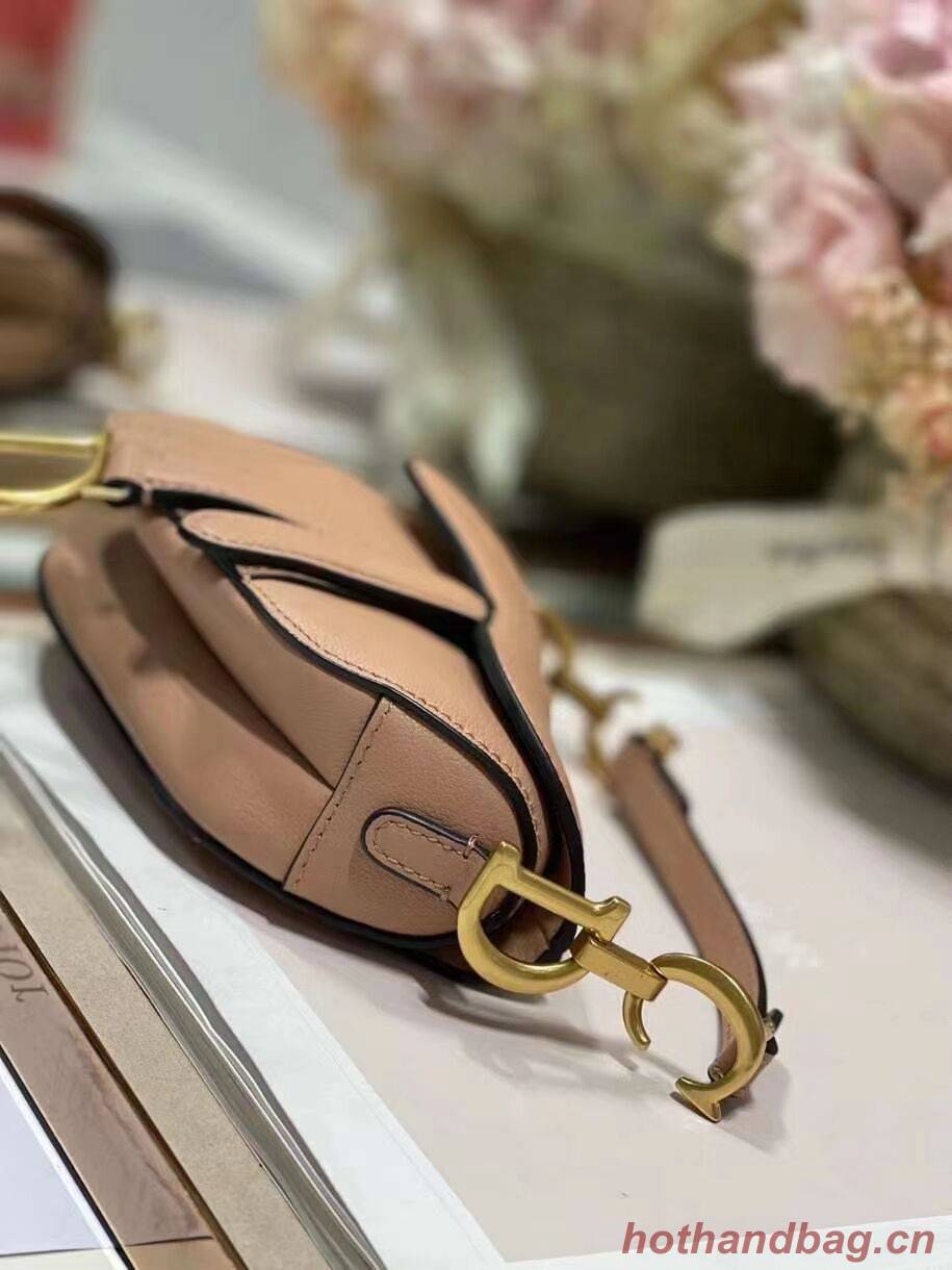 DIOR SADDLE BAG mini Calfskin C8160 pink