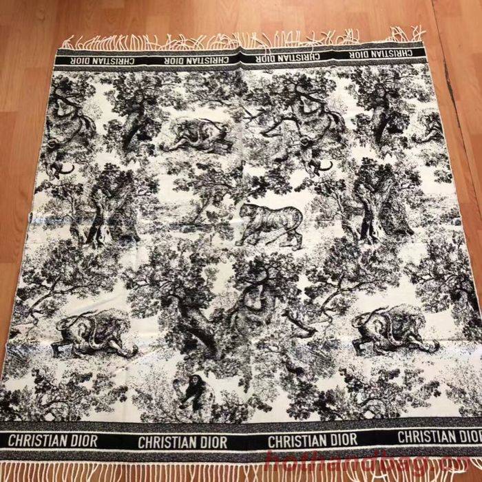 Dior Scarf CD00136