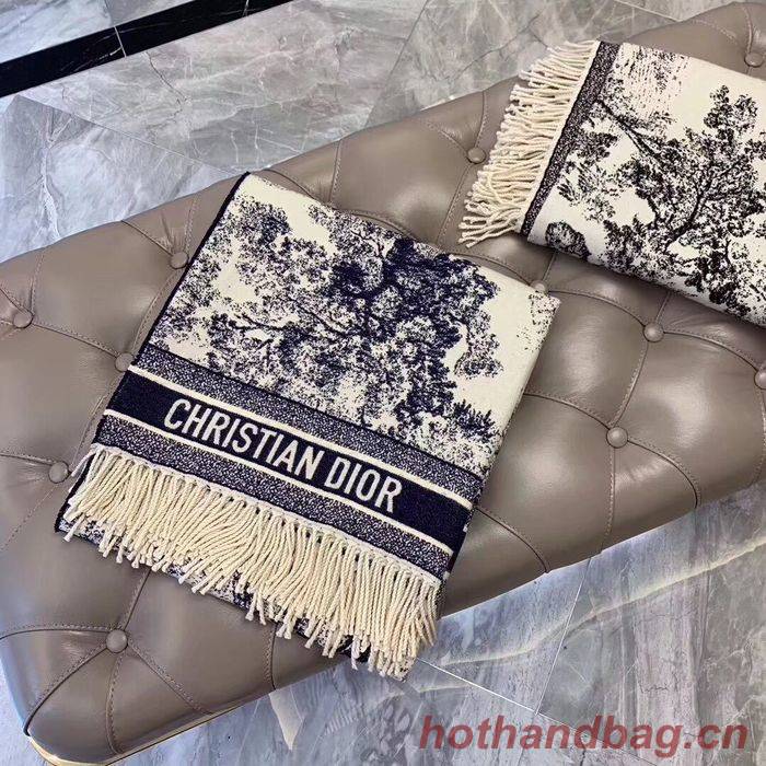 Dior Scarf CD00136