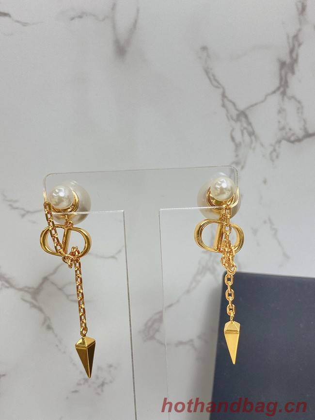 Dior Earrings CE7454