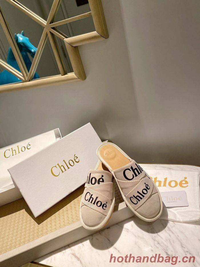 Chloe shoes CO00008