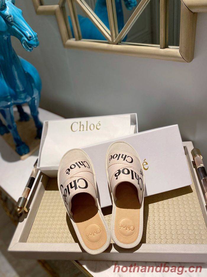 Chloe shoes CO00008