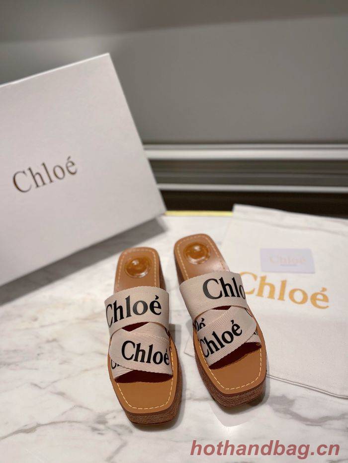 Chloe shoes CO00009