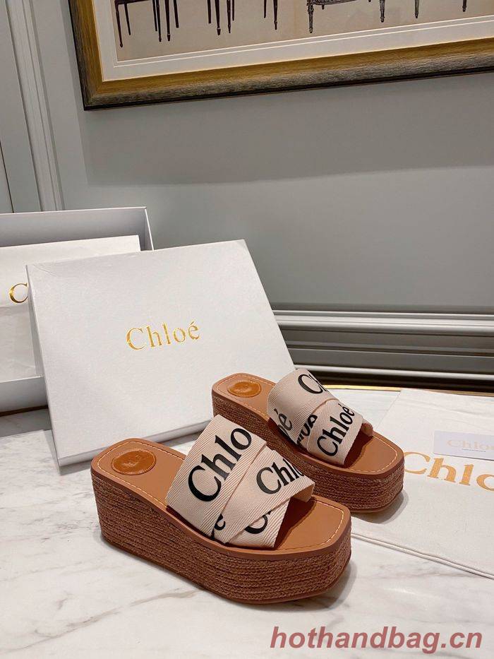 Chloe shoes CO00009