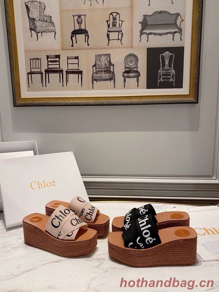 Chloe shoes CO00010