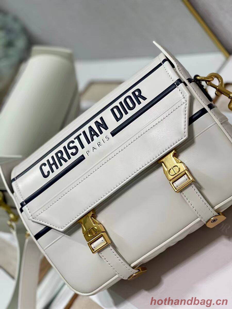 DIORCAMP BAG Dior Multicolor Tie & Dior Calfskin M1291 cream