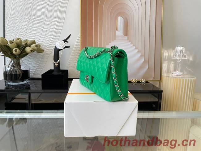 Chanel classic handbag Lambskin&silver Metal 01112 green