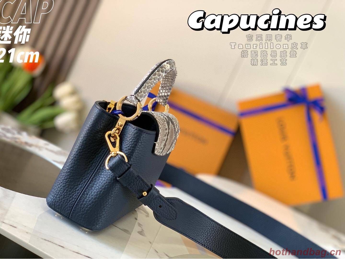 Louis Vuitton CAPUCINES PM Original Python Leather N80041 Navy