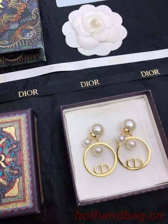 Dior Earrings CE7811