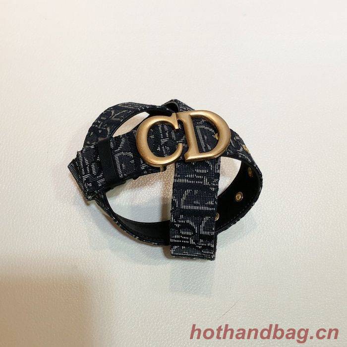 Dior Belt 30MM CDB00026