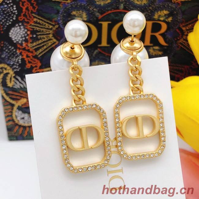 Dior Earrings CE8099