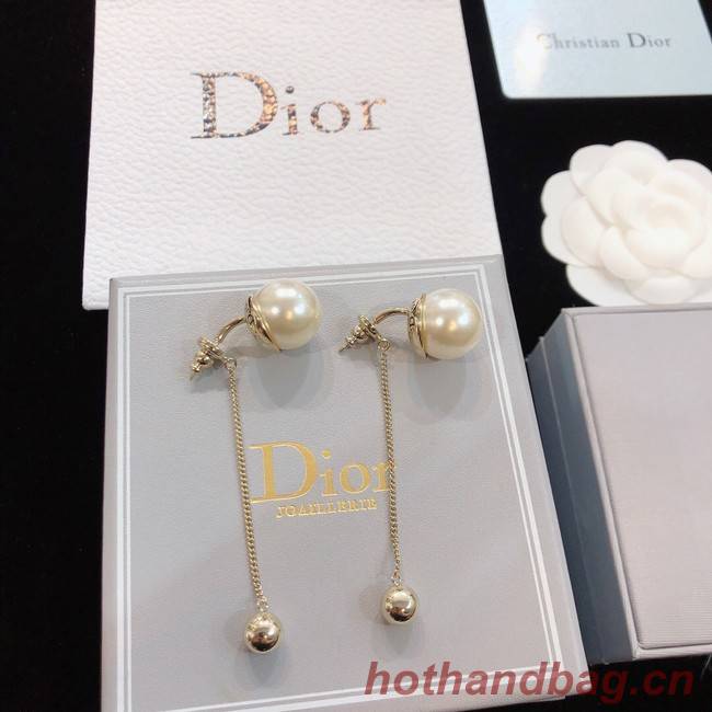 Dior Earrings CE8172