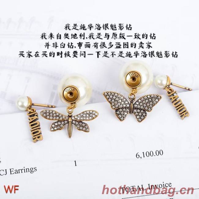 Dior Earrings CE8383