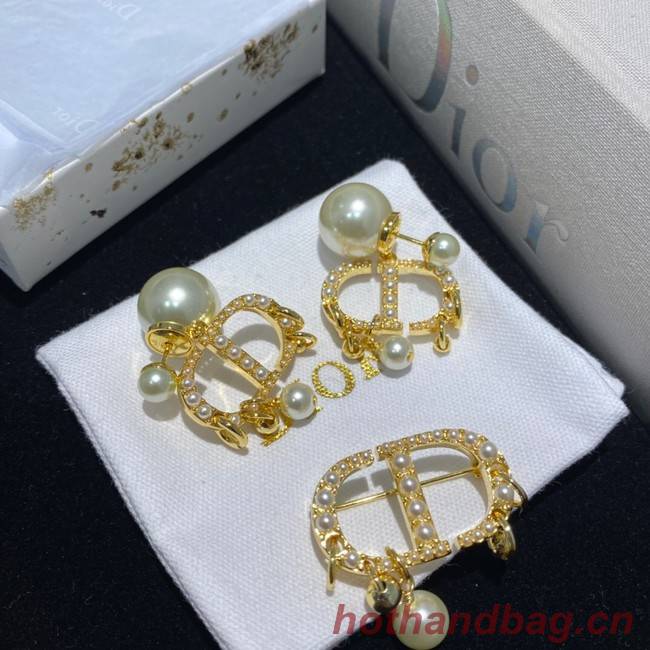 Dior Earrings &Brooch CE8589