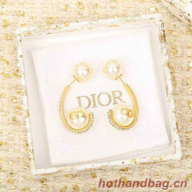 Dior Earrings CE8647