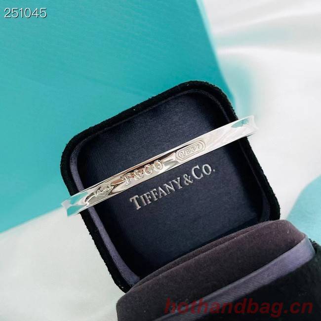 TIFFANY Bracelet CE8801