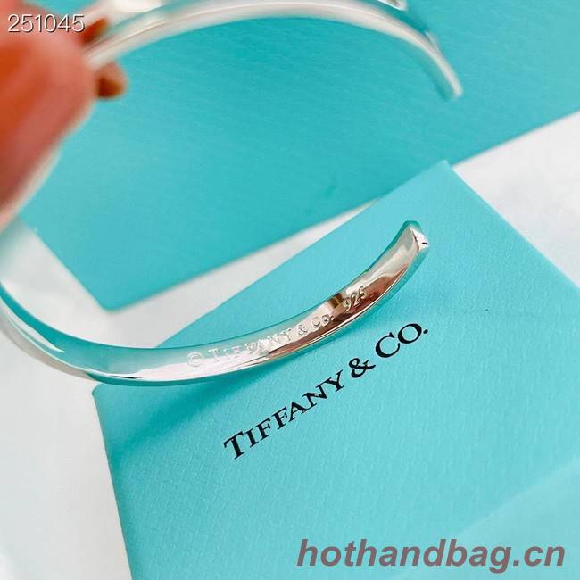 TIFFANY Bracelet CE8801