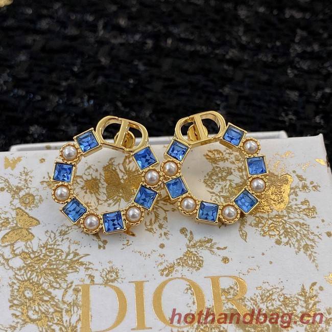 Dior Earrings CE8911