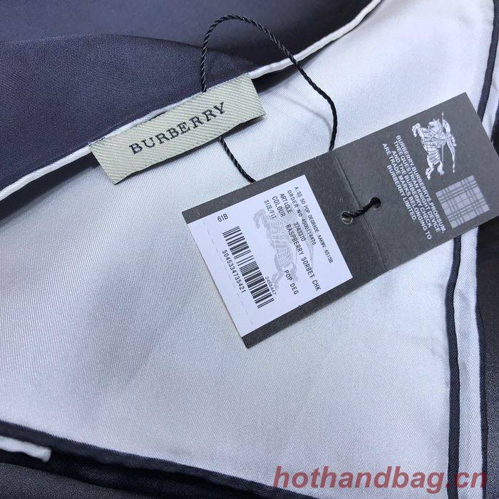Burberry Scarf BBC00068 Burberry Scarf BBC00068