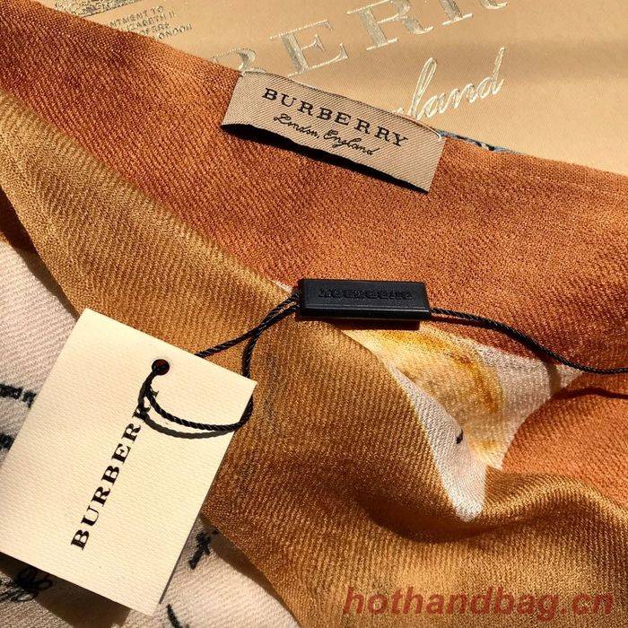 Burberry Scarf BBC00083